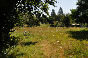 20100812-untitled-0040
